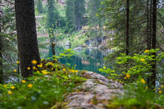 Sessione sul Lago di Como